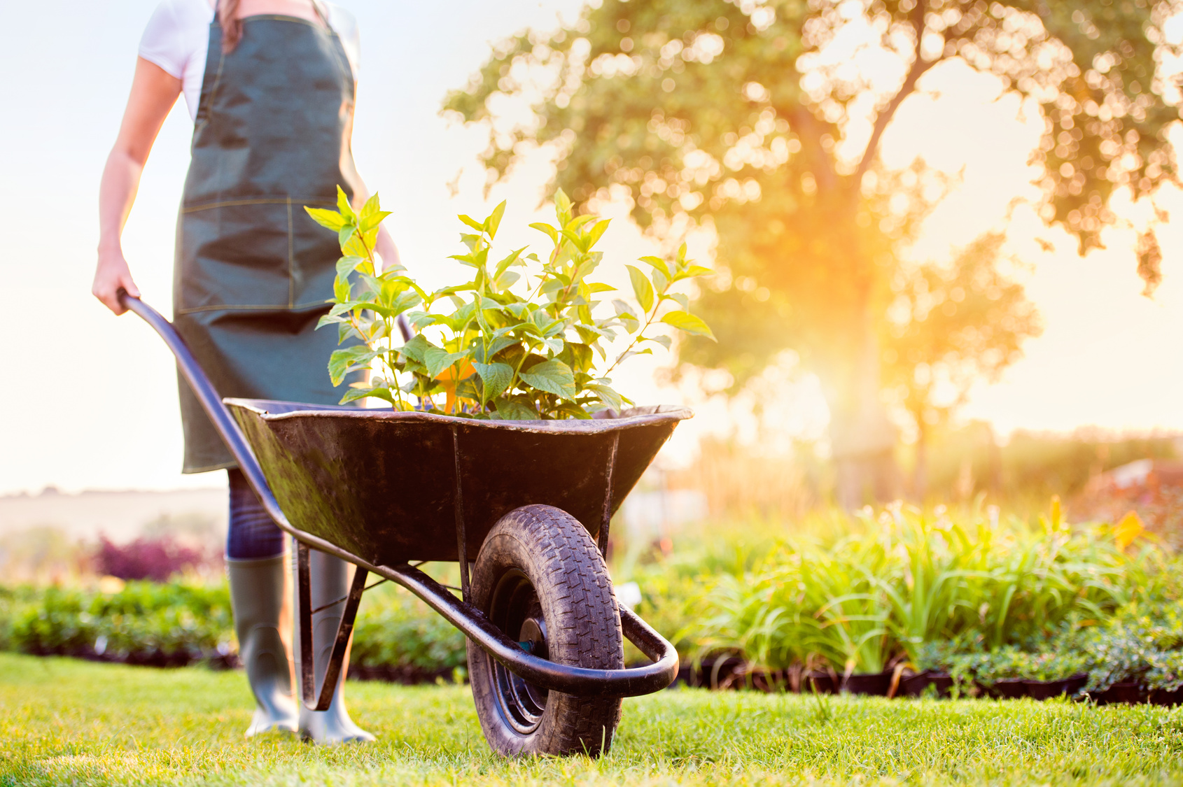 Mit dem Garten gesund &amp; glücklich Leben &amp; Gesundheit